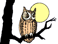 eule_03.gif eule_03.gif